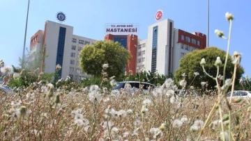 AD&Uuml; Hastanesi'nden ka&ccedil;an psikiyatri hastası dehşet sa&ccedil;tı