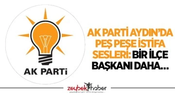 AK Parti Aydın’da peş peşe istifa sesleri: Bir ilçe başkanı daha…