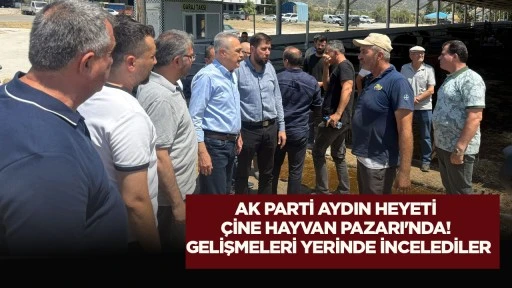 AK Parti Aydın Heyeti &Ccedil;ine Hayvan Pazarın&rsquo;da! Gelişmeleri yerinde incelediler