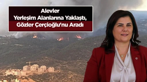 Alevler Yerleşim Alanlarına Yaklaştı, Gözler Çerçioğlu'nu Aradı