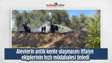 Alevlerin antik kente ulaşmasını itfaiye ekiplerinin hızlı m&uuml;dahalesi &ouml;nledi