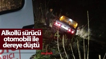 Alkoll&uuml; s&uuml;r&uuml;c&uuml; otomobili ile dereye d&uuml;şt&uuml;