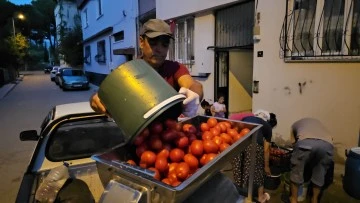 'Alo Sal&ccedil;acı' hattını kurdu