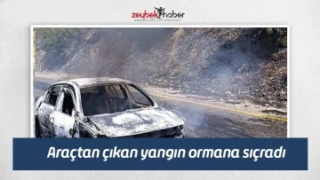 Ara&ccedil;tan &ccedil;ıkan yangın ormana sı&ccedil;radı
