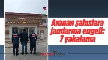 Aranan şahıslara jandarma engeli: 7 yakalama