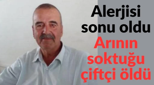 Arının soktuğu &ccedil;ift&ccedil;i, &ouml;ld&uuml;