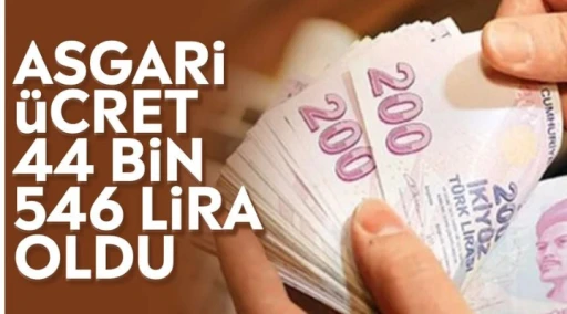 Asgari ücret 44 bin 546 lira oldu