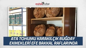 ATA TOHUMU KARAKIL&Ccedil;IK BUĞDAY EKMEKLERİ EFE BAKKAL RAFLARINDA