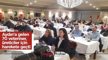 Aydın'a gelen 70 veteriner, &uuml;reticiler i&ccedil;in harekete ge&ccedil;ti