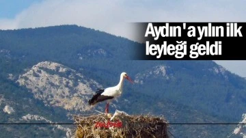 Aydın'a yılın ilk leyleği geldi