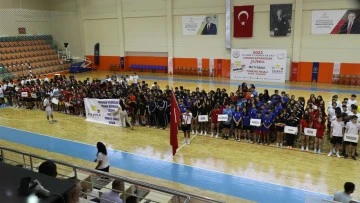 Aydın, ANALİG Hentbol T&uuml;rkiye Şampiyonası heyecanını yaşıyor