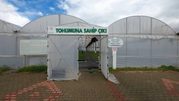 AYDIN B&Uuml;Y&Uuml;KŞEHİR BELEDİYESİ ATA TOHUMLARINDAN FİDELERİ VATANDAŞLARLA BULUŞTURUYOR