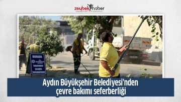 Aydın B&uuml;y&uuml;kşehir Belediyesi'nden &ccedil;evre bakımı seferberliği