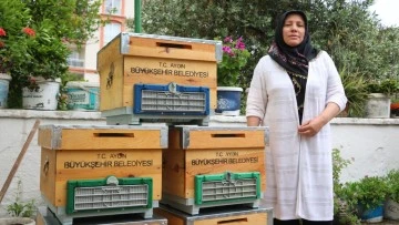 Aydın B&uuml;y&uuml;kşehir Belediyesi&rsquo;nden kadın arıcılara kovan desteği