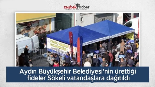 Aydın B&uuml;y&uuml;kşehir Belediyesi&rsquo;nin &uuml;rettiği fideler S&ouml;keli vatandaşlara dağıtıldı