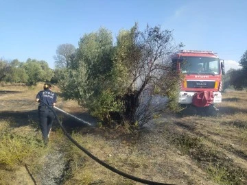 Aydın B&uuml;y&uuml;kşehir İtfaiyesi'nden Umurlu'daki yangına hızlı m&uuml;dahale