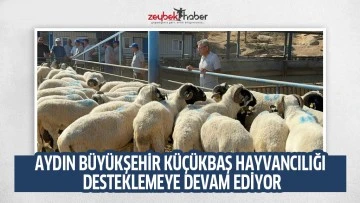 AYDIN B&Uuml;Y&Uuml;KŞEHİR K&Uuml;&Ccedil;&Uuml;KBAŞ HAYVANCILIĞI DESTEKLEMEYE DEVAM EDİYOR