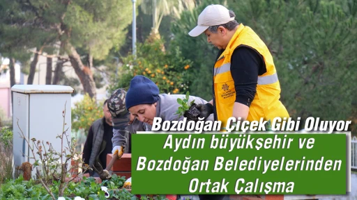 Aydın b&uuml;y&uuml;kşehir ve Bozdoğan Belediyelerinden Ortak &Ccedil;alışma: Bozdoğan &Ccedil;i&ccedil;ek Gibi Oluyor