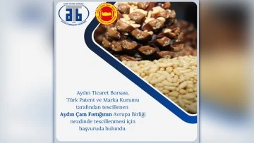 Aydın &Ccedil;am Fıstığı, AB yolunda