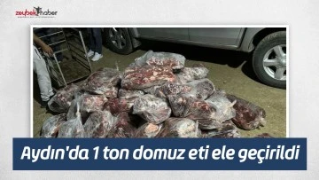 Aydın'da 1 ton domuz eti ele ge&ccedil;irildi