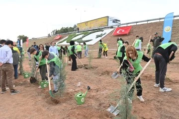 Aydın&rsquo;da 2 bin 23 mavi servi fidanı toprakla buluştu