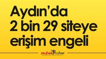 Aydın&rsquo;da 2 bin 29 siteye erişim engeli