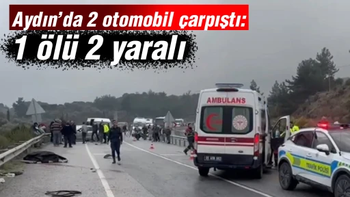 Aydın&rsquo;da 2 otomobil &ccedil;arpıştı: 1 &ouml;l&uuml; 2 yaralı