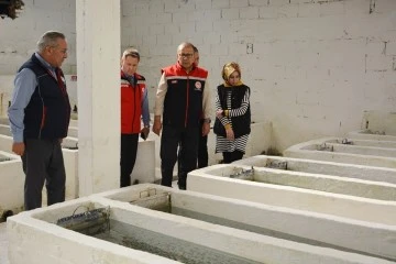 Aydın'da 2023 yılında balık ihracatından 230 milyon dolar gelir elde edildi