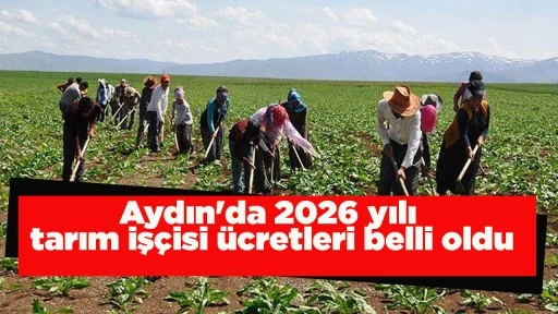 Aydın'da 2026 yılı tarım iş&ccedil;isi &uuml;cretleri belli oldu