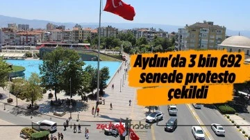 Aydın'da 3 bin 692 senede protesto &ccedil;ekildi