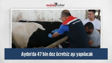 Aydın'da 47 bin doz &uuml;cretsiz aşı yapılacak