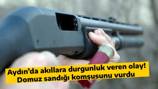 Aydın&rsquo;da akıllara durgunluk veren olay! Domuz sandığı komşusunu vurdu 