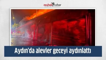 Aydın'da alevler geceyi aydınlattı