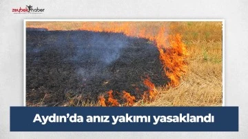 Aydın&rsquo;da anız yakımı yasaklandı