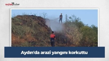 Aydın'da arazi yangını korkuttu