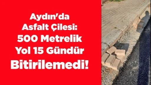 Aydın'da Asfalt &Ccedil;ilesi: 500 Metrelik Yol 15 G&uuml;nd&uuml;r Bitirilemedi!