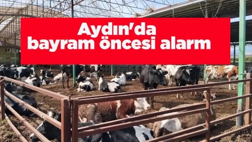 Aydın'da bayram &ouml;ncesi alarm