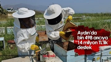 Aydın&rsquo;da bin 498 arıcıya 14 milyon TL&rsquo;lik destek