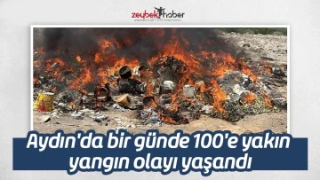 Aydın'da bir g&uuml;nde 100'e yakın yangın olayı yaşandı