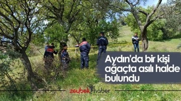 Aydın'da bir kişi ağa&ccedil;ta asılı halde bulundu