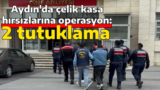 Aydın'da &ccedil;elik kasa hırsızlarına operasyon: 2 tutuklama