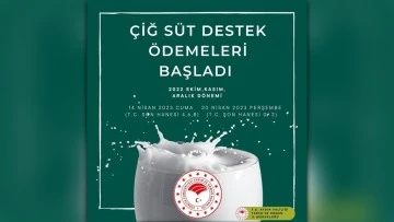 Aydın&rsquo;da &ccedil;iğ s&uuml;t destekleme &ouml;demeleri başladı