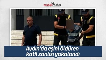 Aydın'da eşini &ouml;ld&uuml;ren katil zanlısı yakalandı
