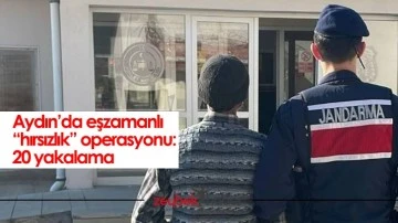 Aydın&rsquo;da eşzamanlı &ldquo;hırsızlık&rdquo; operasyonu: 20 yakalama