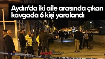 Aydın&rsquo;da iki aile arasında &ccedil;ıkan kavgada 6 kişi yaralandı