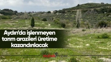 Aydın&rsquo;da işlenmeyen tarım arazileri &uuml;retime kazandırılacak