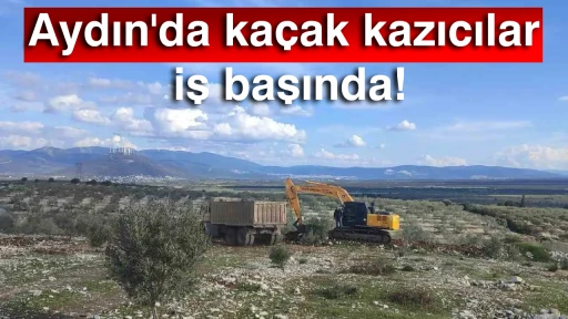 Aydın'da ka&ccedil;ak kazıcılar iş başında