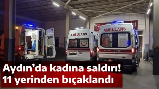 Aydın&rsquo;da kadına saldırı! 11 yerinden bı&ccedil;aklandı 