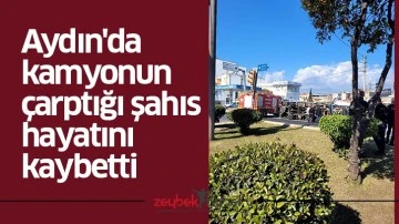 Aydın'da kamyonun &ccedil;arptığı şahıs hayatını kaybetti