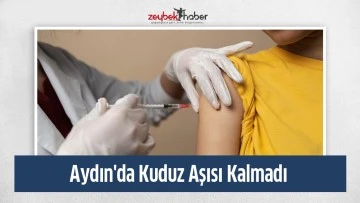 Aydın'da Kuduz Aşısı Kalmadı&nbsp;